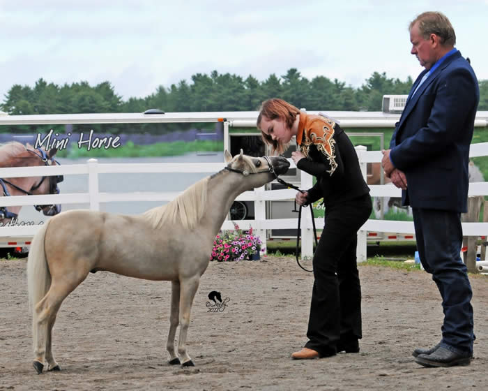 Lauren, Kirby & Lucky  Maine 2011