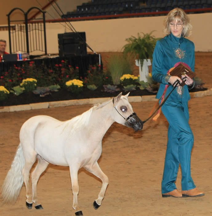 Me & Valentino - Worlds 2009 - World Top 3 Amateur Junior Gelding